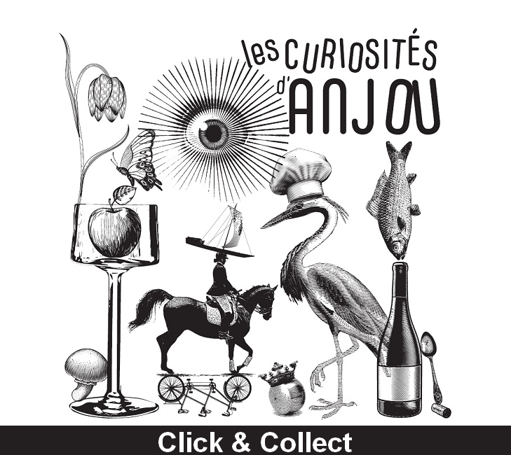 Box Curiosités d'Anjou